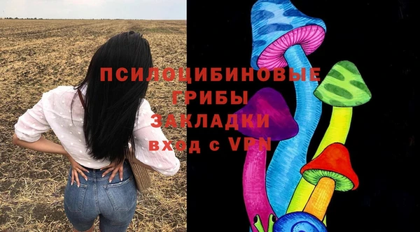 ешки Алексеевка