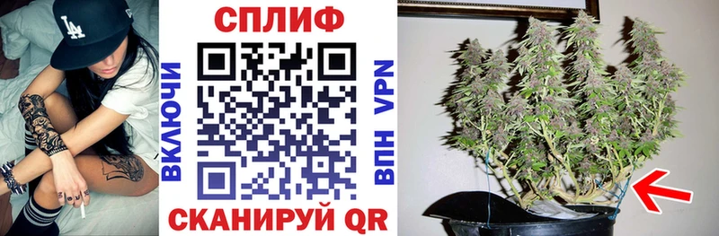 Каннабис Amnesia  хочу наркоту  Кириши 